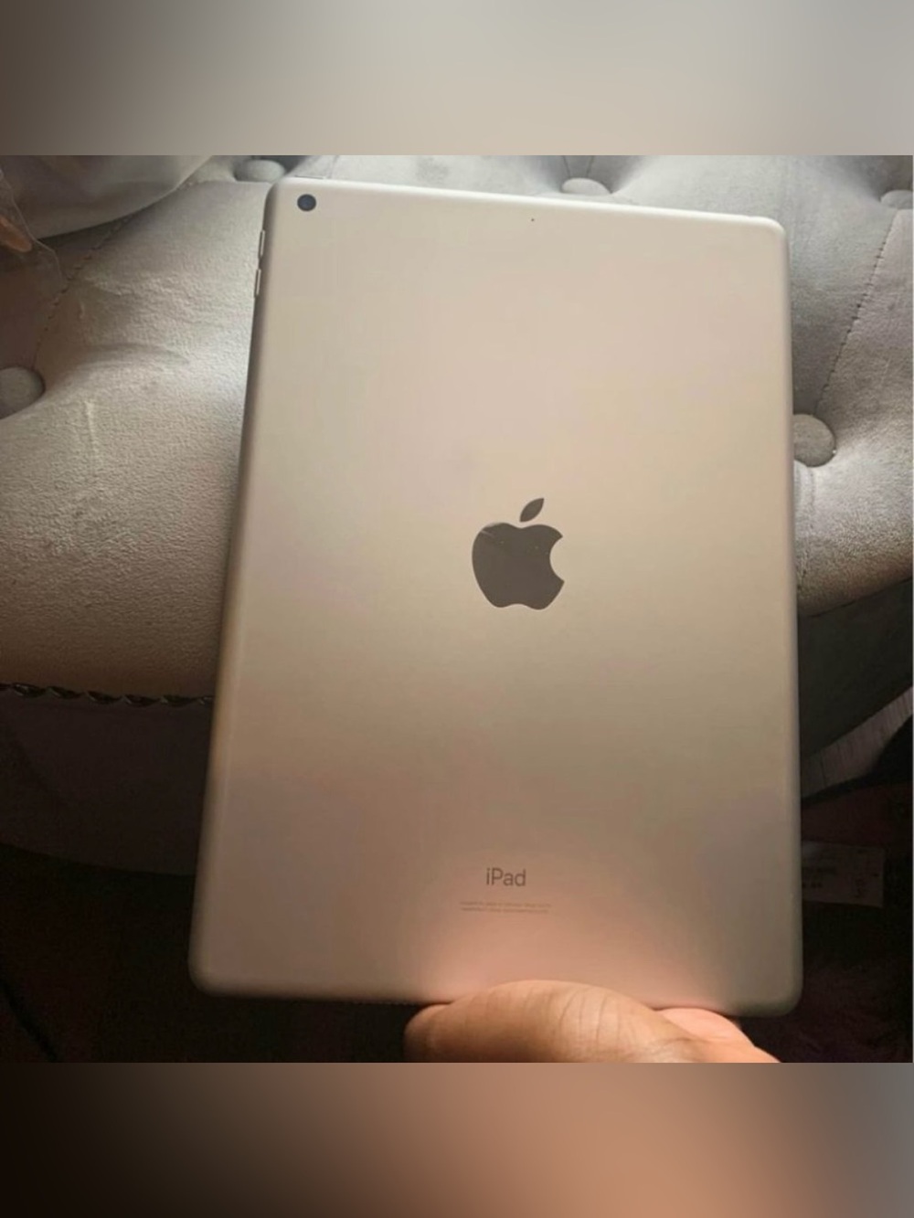 Apple iPad in Rose Gold